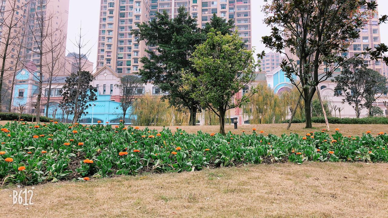 Emei Mountain Xileer Hotel إيمايشان المظهر الخارجي الصورة